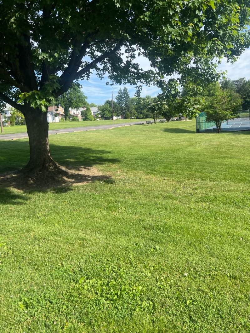 walking near me in Chester Park in summer