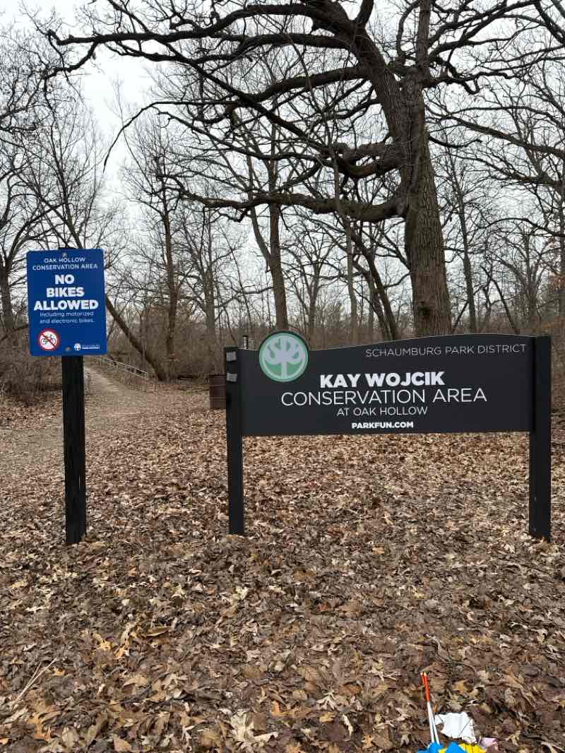 walking near me in Cove Park in spring