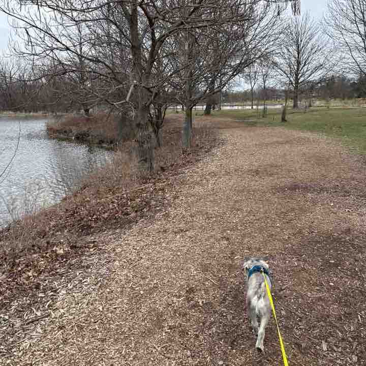 Aleksandra 🇵🇱 post 1