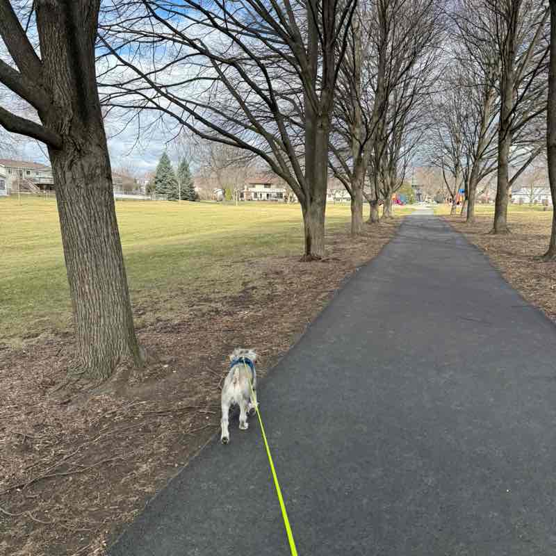 Aleksandra 🇵🇱 post 2