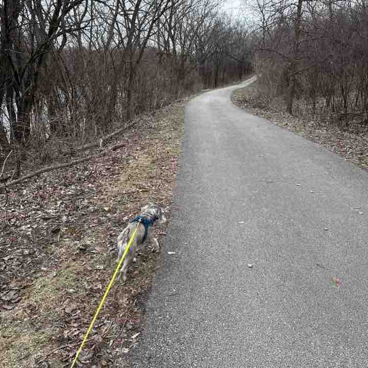 Aleksandra 🇵🇱 post 3