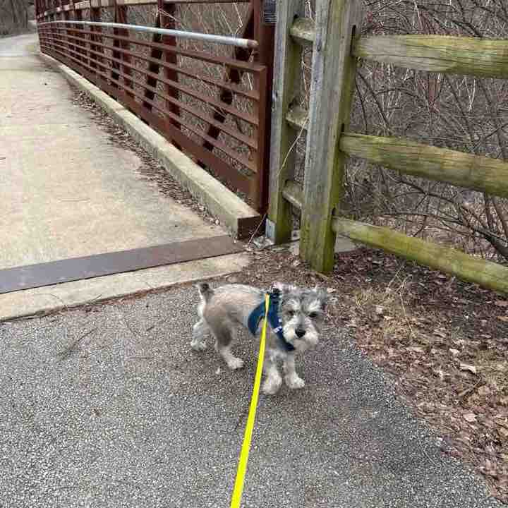 Aleksandra 🇵🇱 post 2