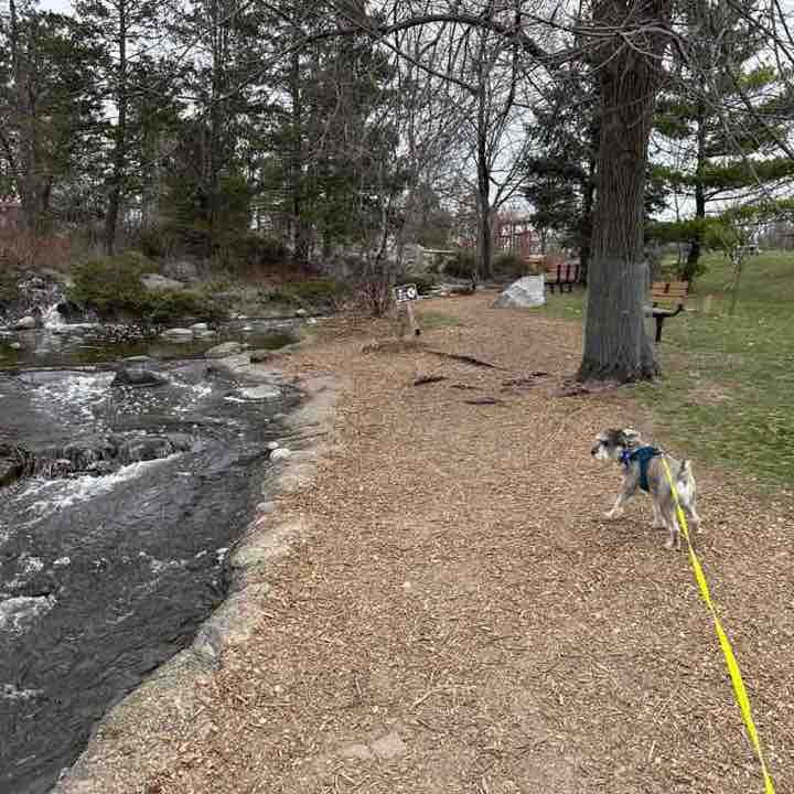 Aleksandra 🇵🇱 post 1