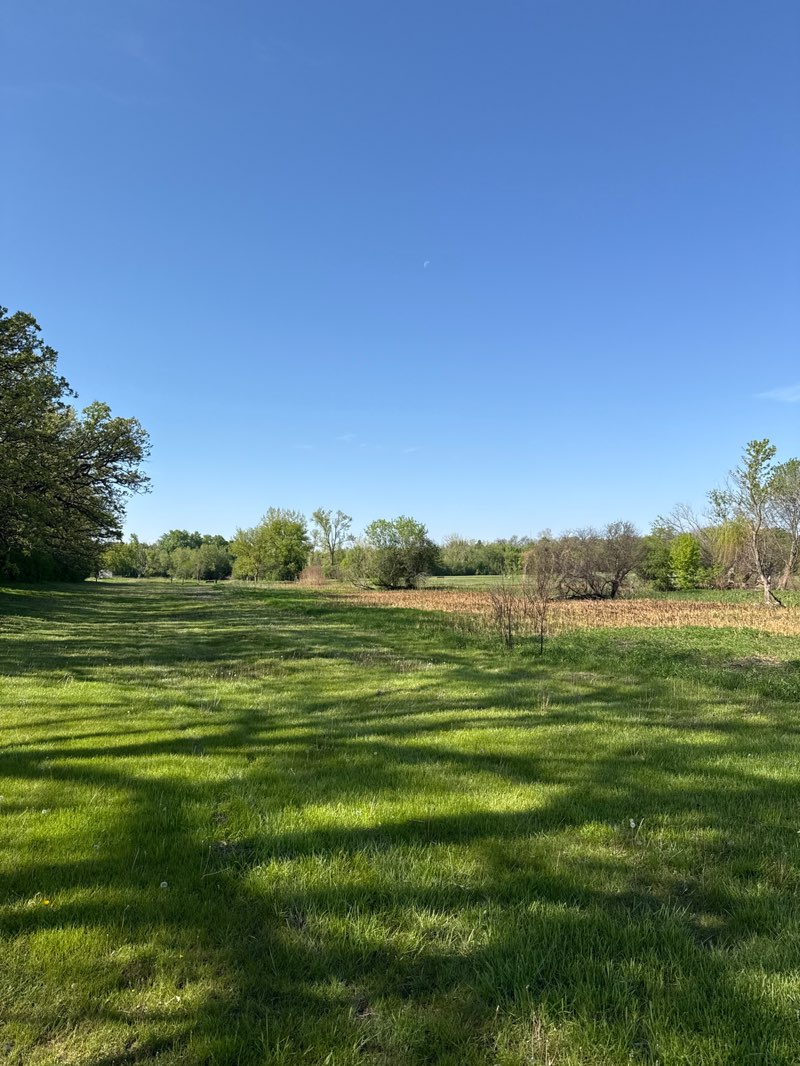 walking near me in Shady Oaks Park in spring
