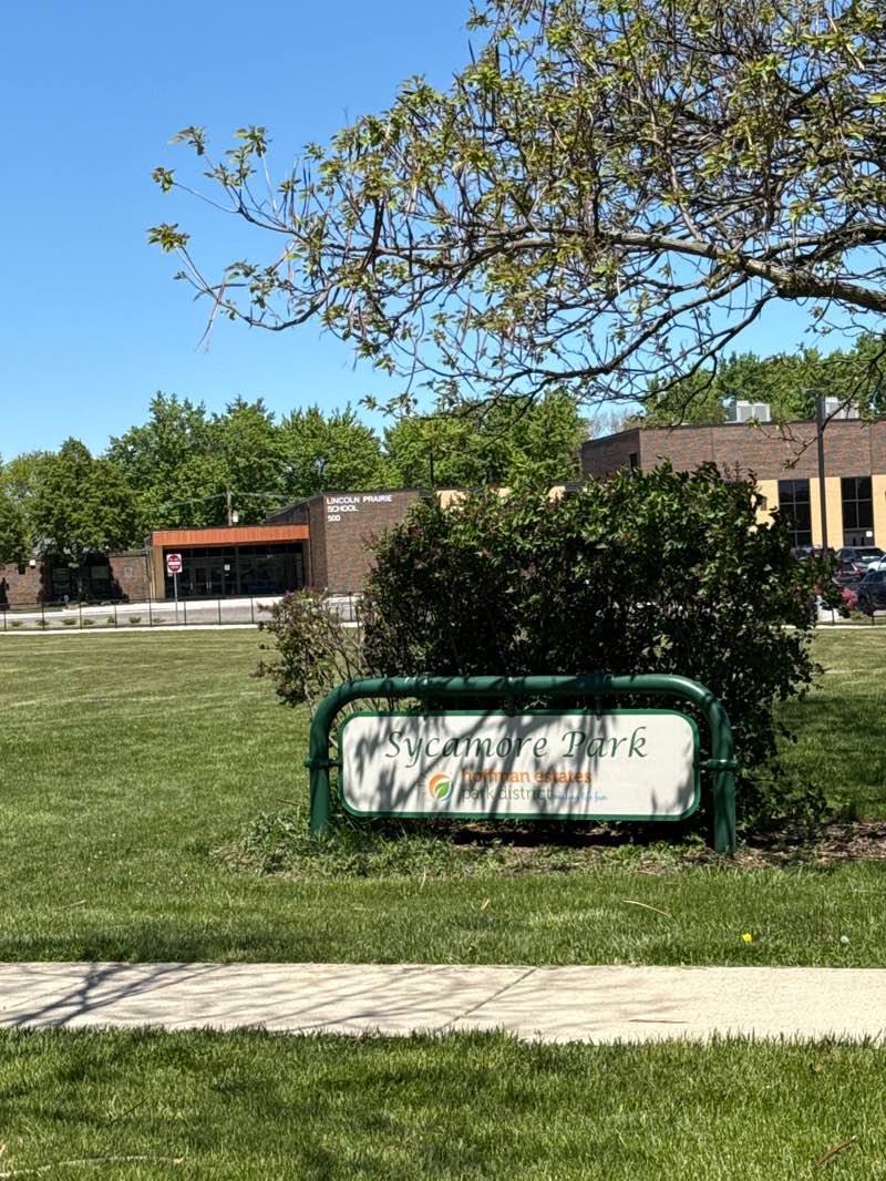 walking near me in Sycamore Park in spring