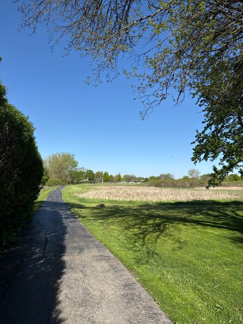 walking near me in Goose Lake Park in spring