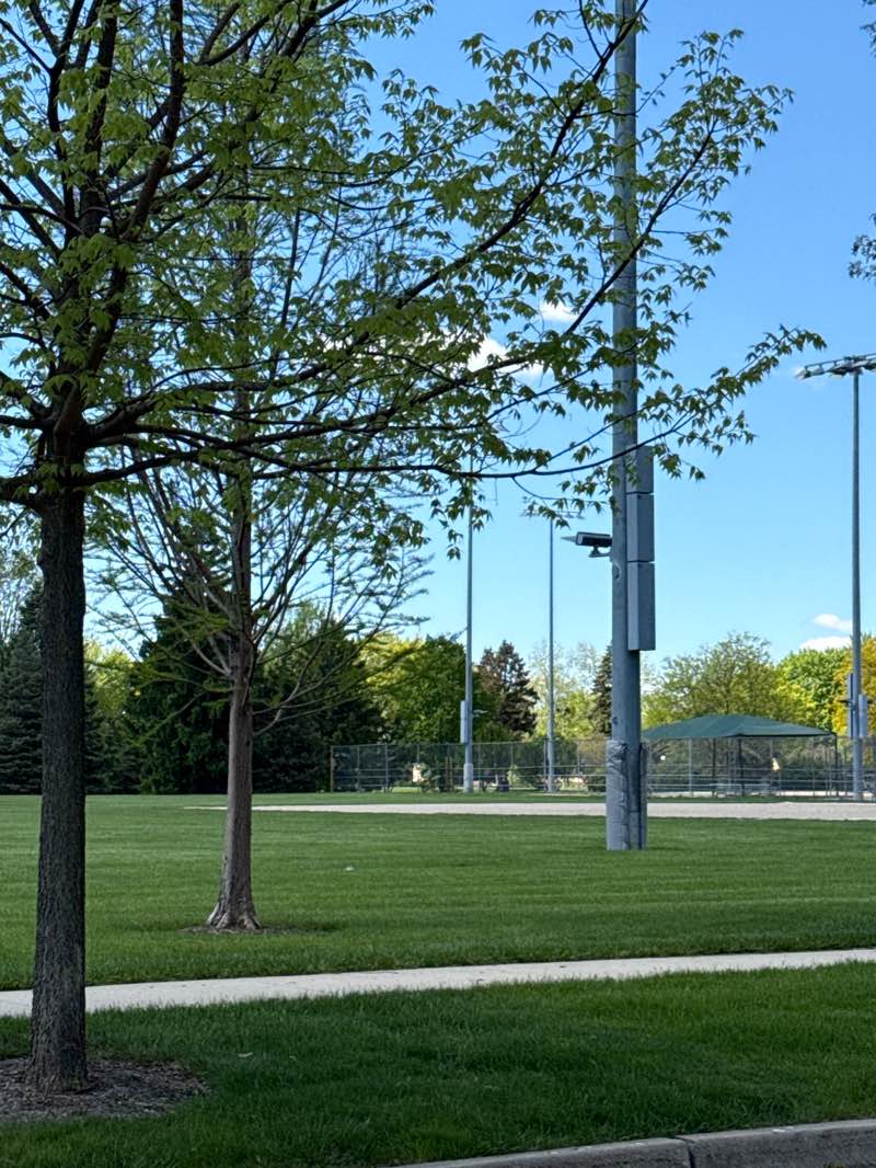 walking near me in Community Park in spring