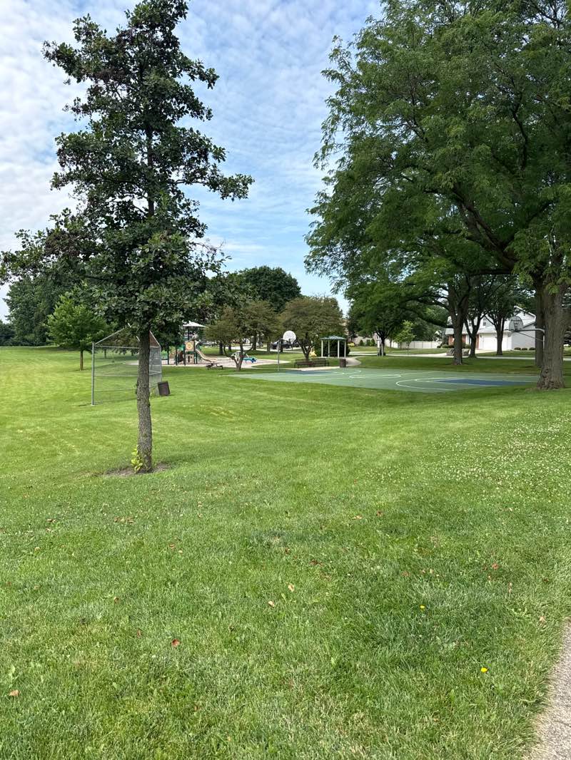walking near me in Jensen Park South in summer