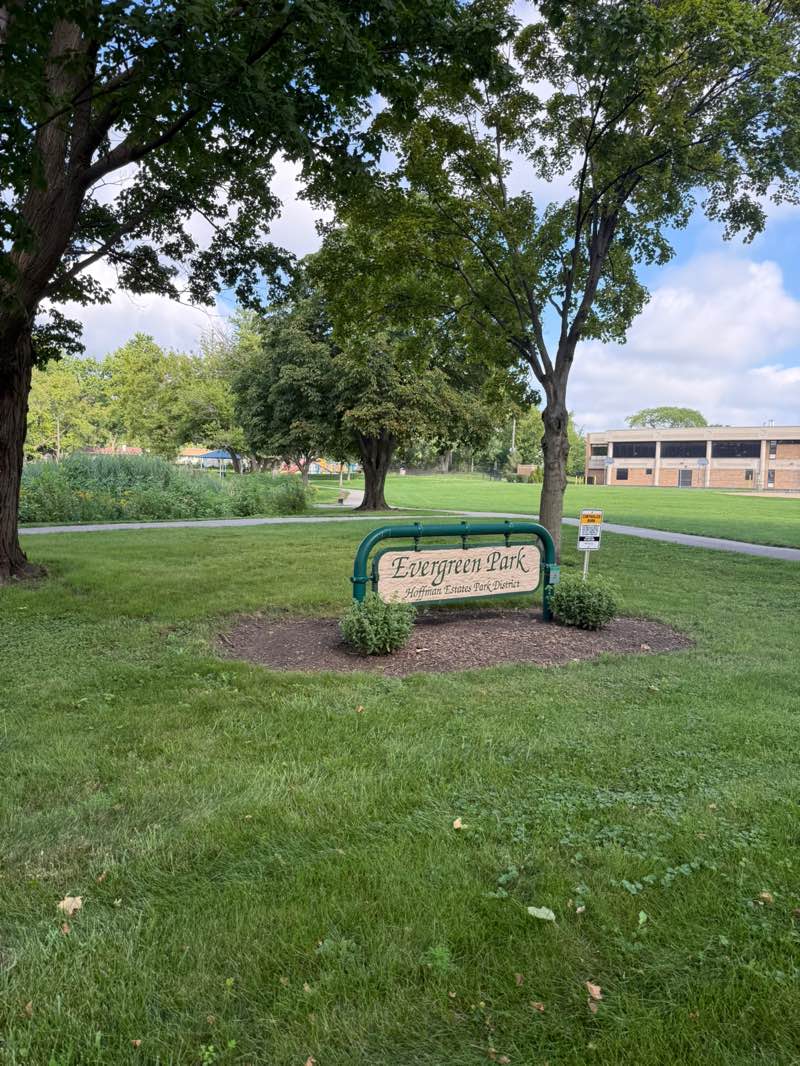 walking near me in Evergreen Park in summer