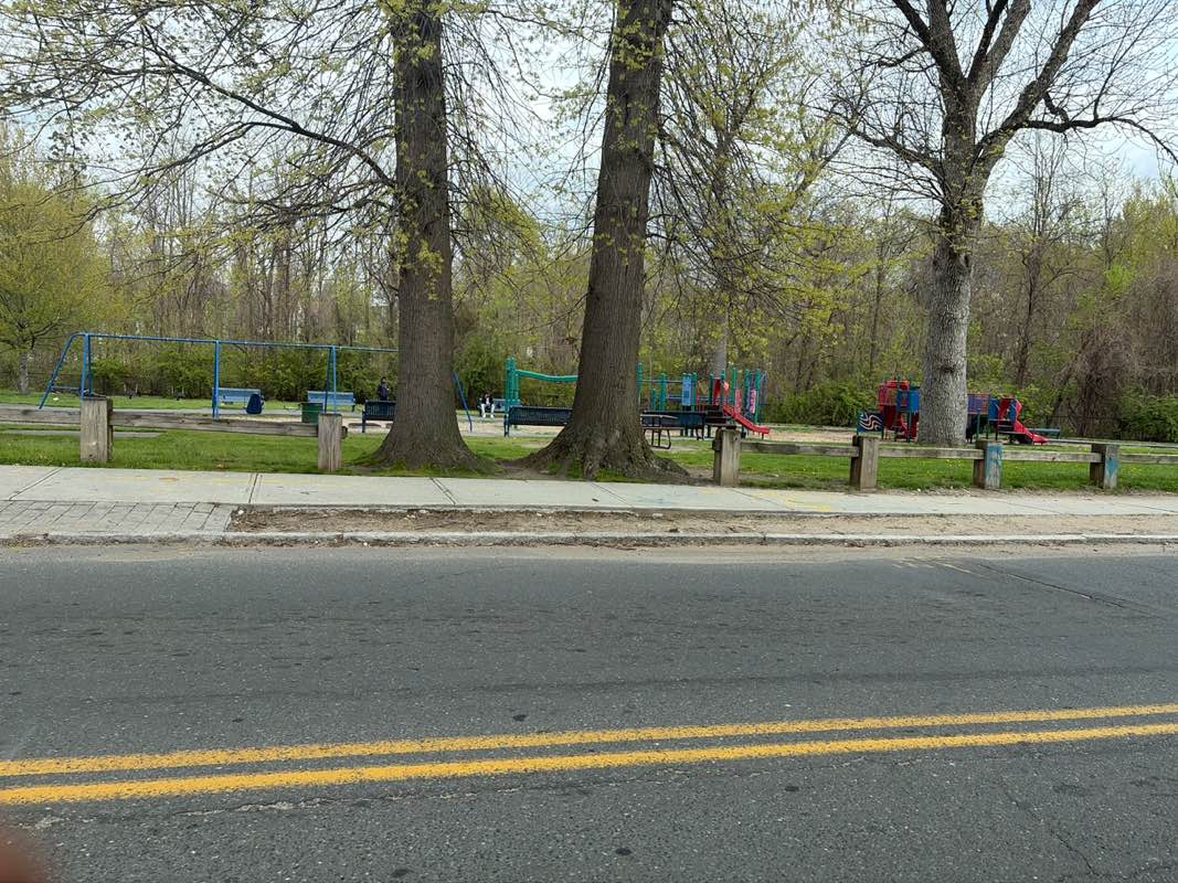walking near me in Stebbins Park in spring