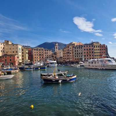 MEIDS Step Challenge Paolo M. post image