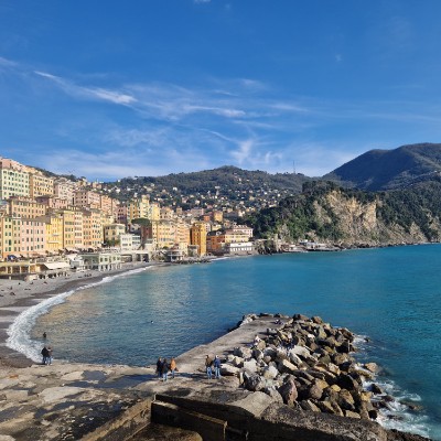 MEIDS Step Challenge Paolo M. post image