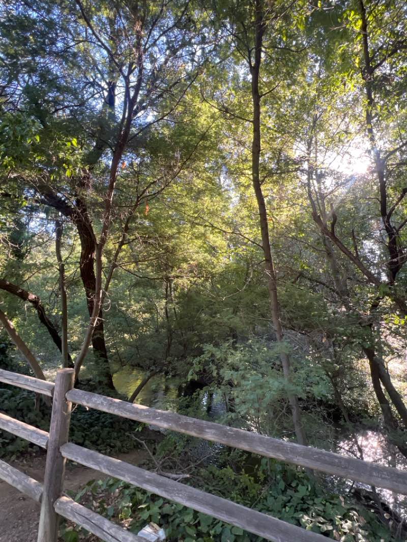 walking near me in Vasona Lake County Park in summer