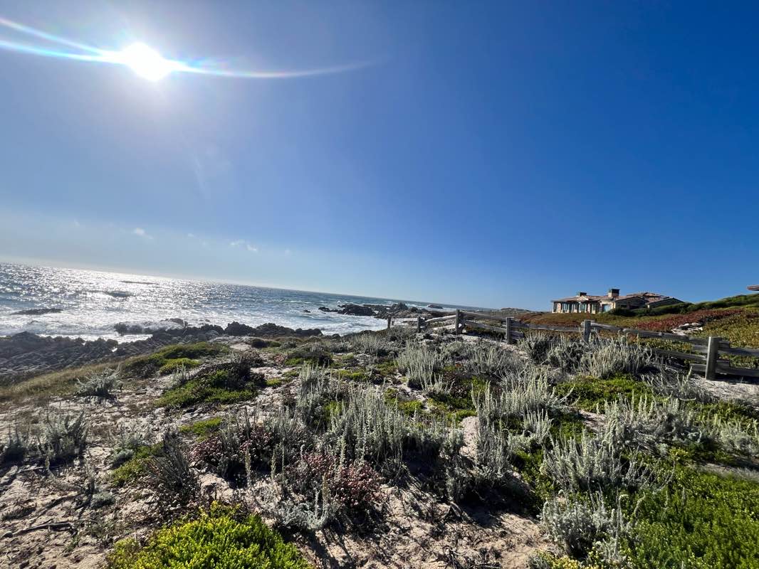 walking near me in Asilomar State Beach in summer