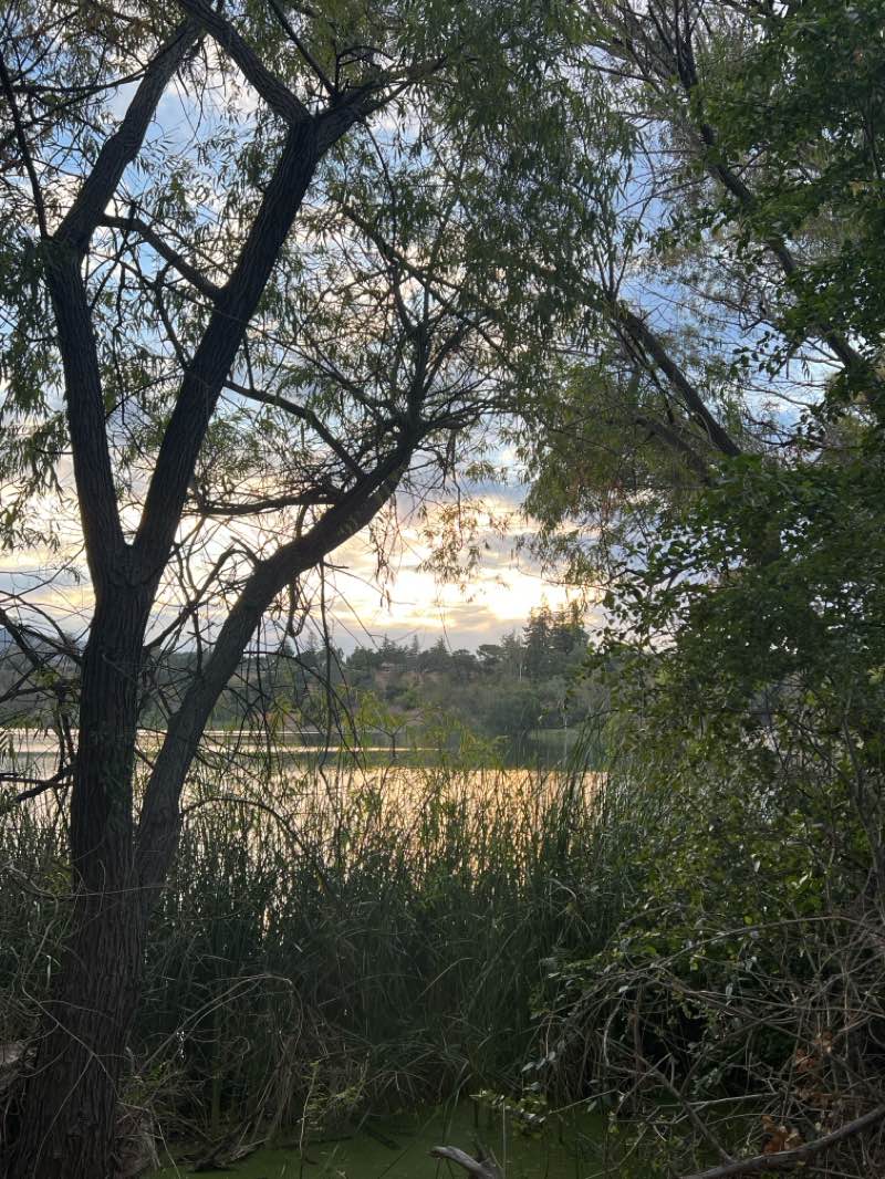walking near me in Vasona Lake County Park in summer