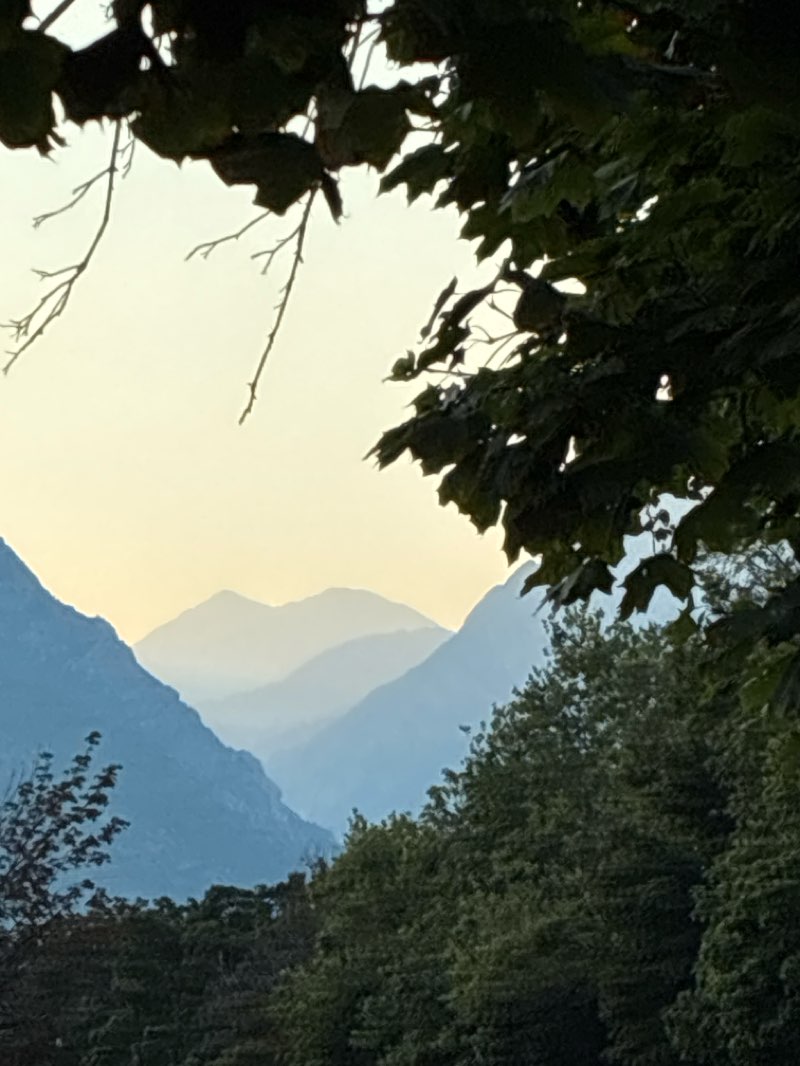 walking near me in Falcon Park in summer