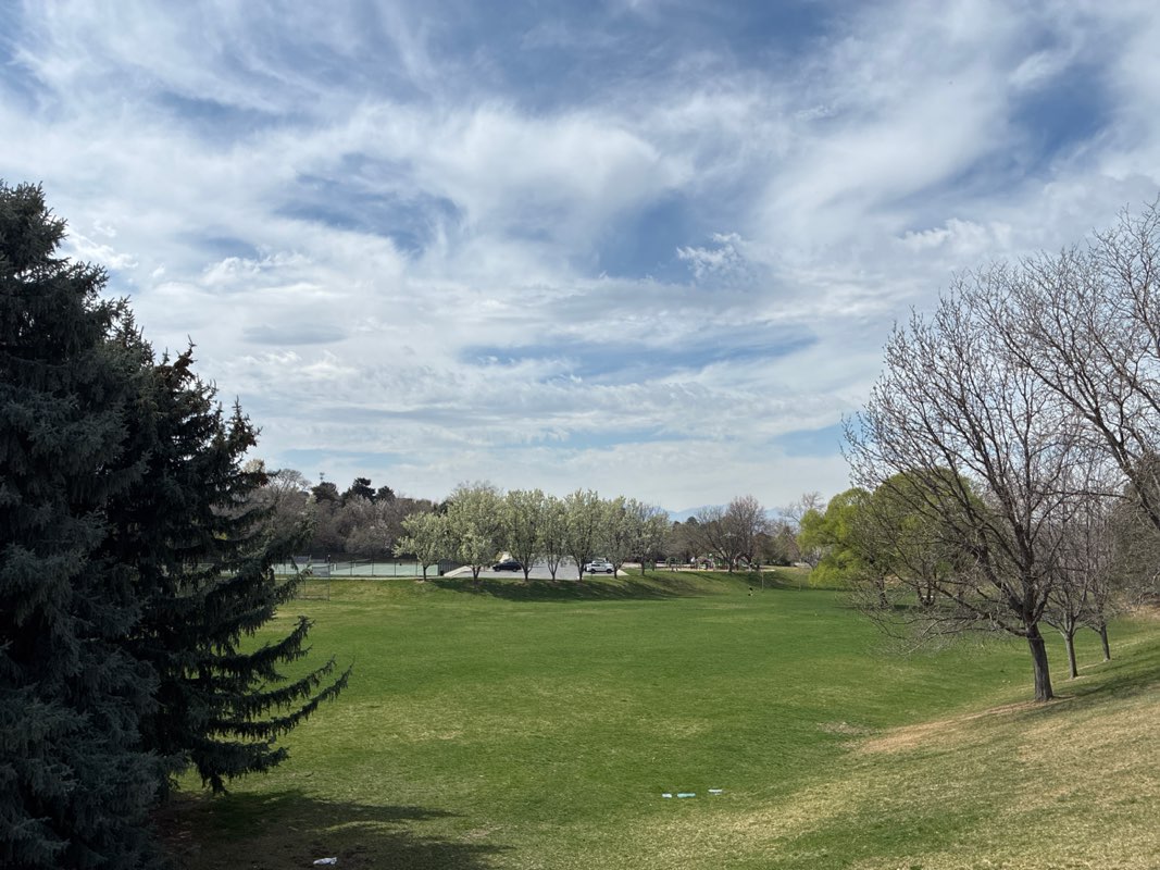 walking near me in Willowcreek Park in spring