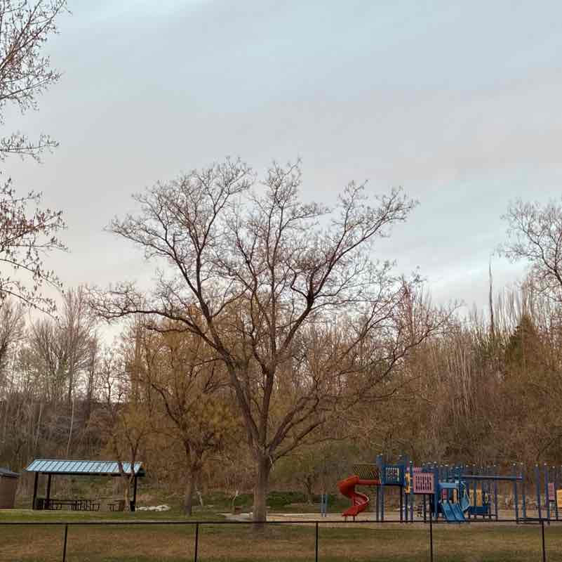 Crankin’Hank post 1