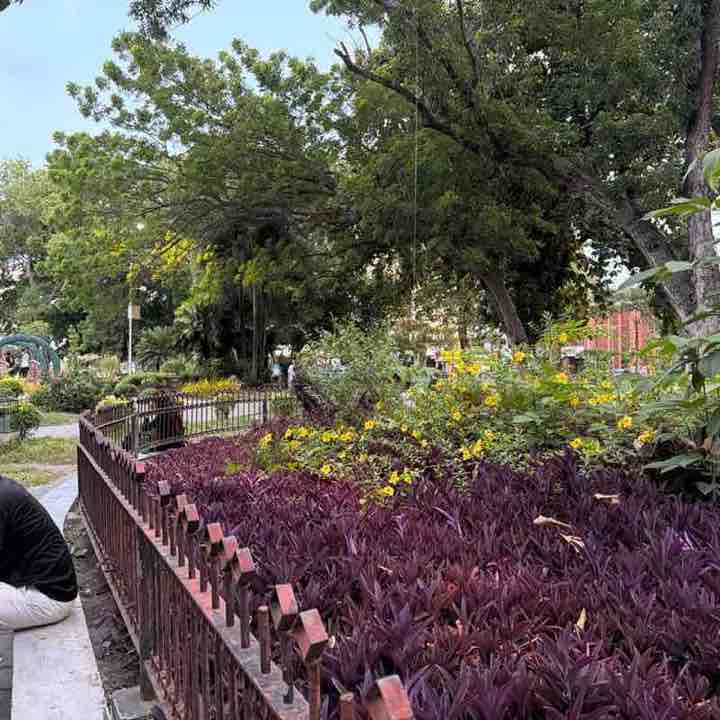 Khurshid post 2