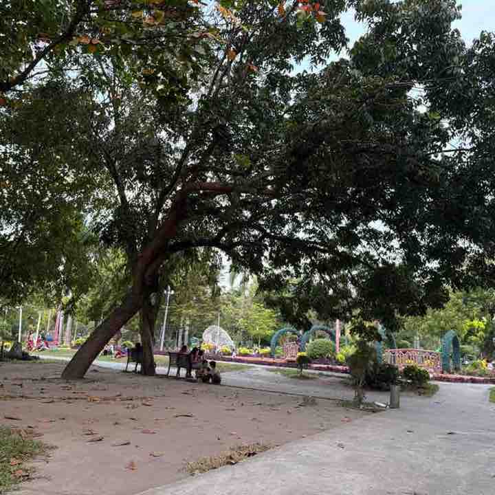 Khurshid post 1