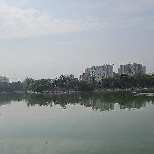 Ravi V profile