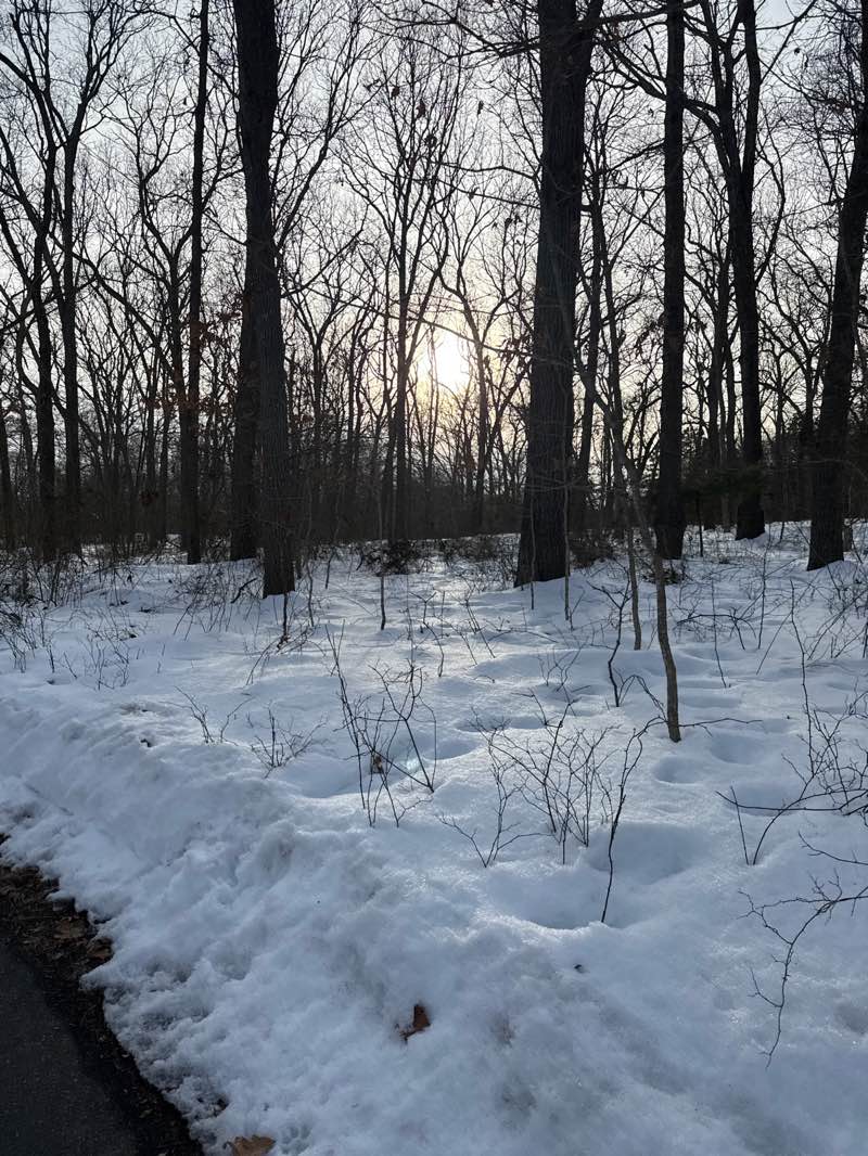 walking near me in Warwick City Park in winter