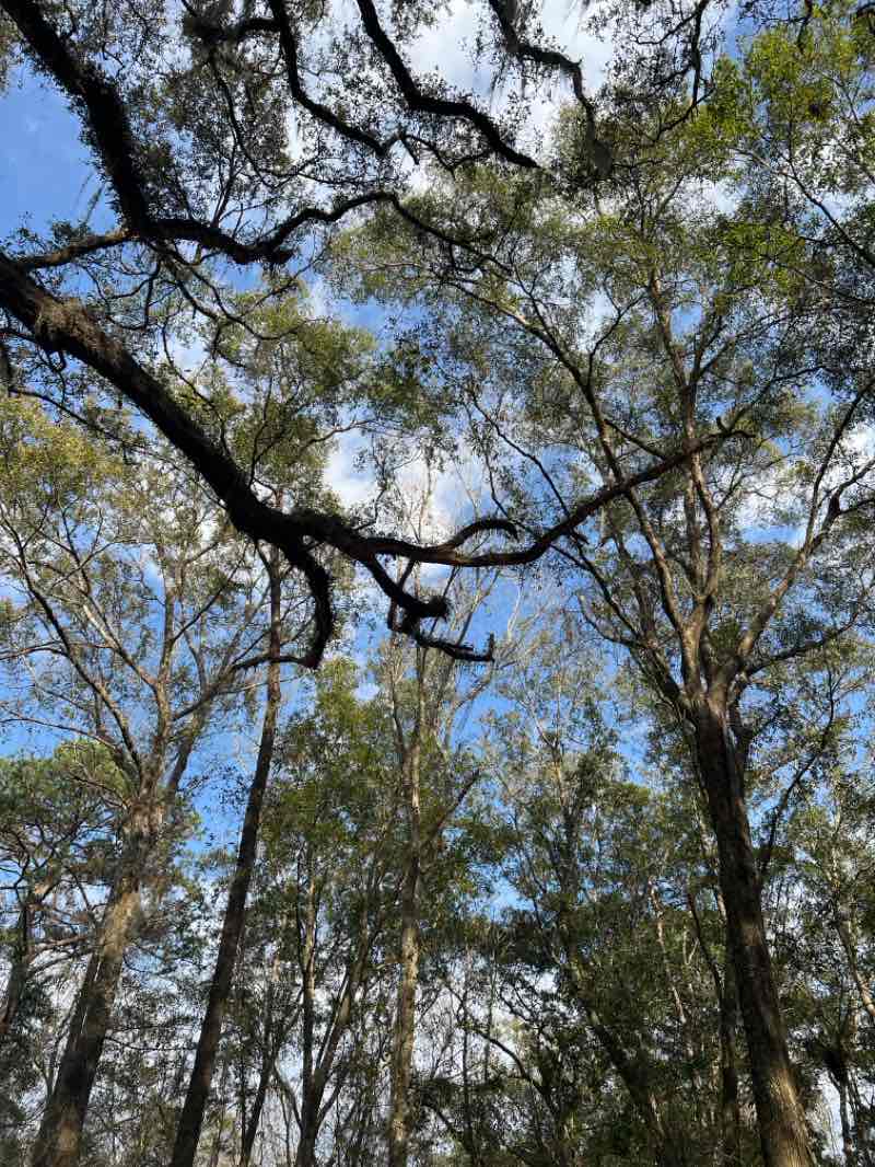 walking near me in Lafayette Heritage Trail Park in winter