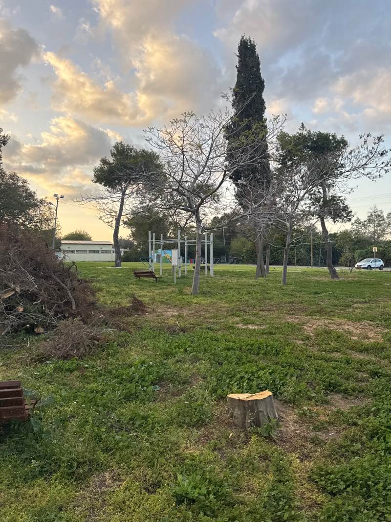 walking near me in HaMeyasdim Garden in spring