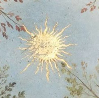 🌻🌷QueenFno 🌻🌷