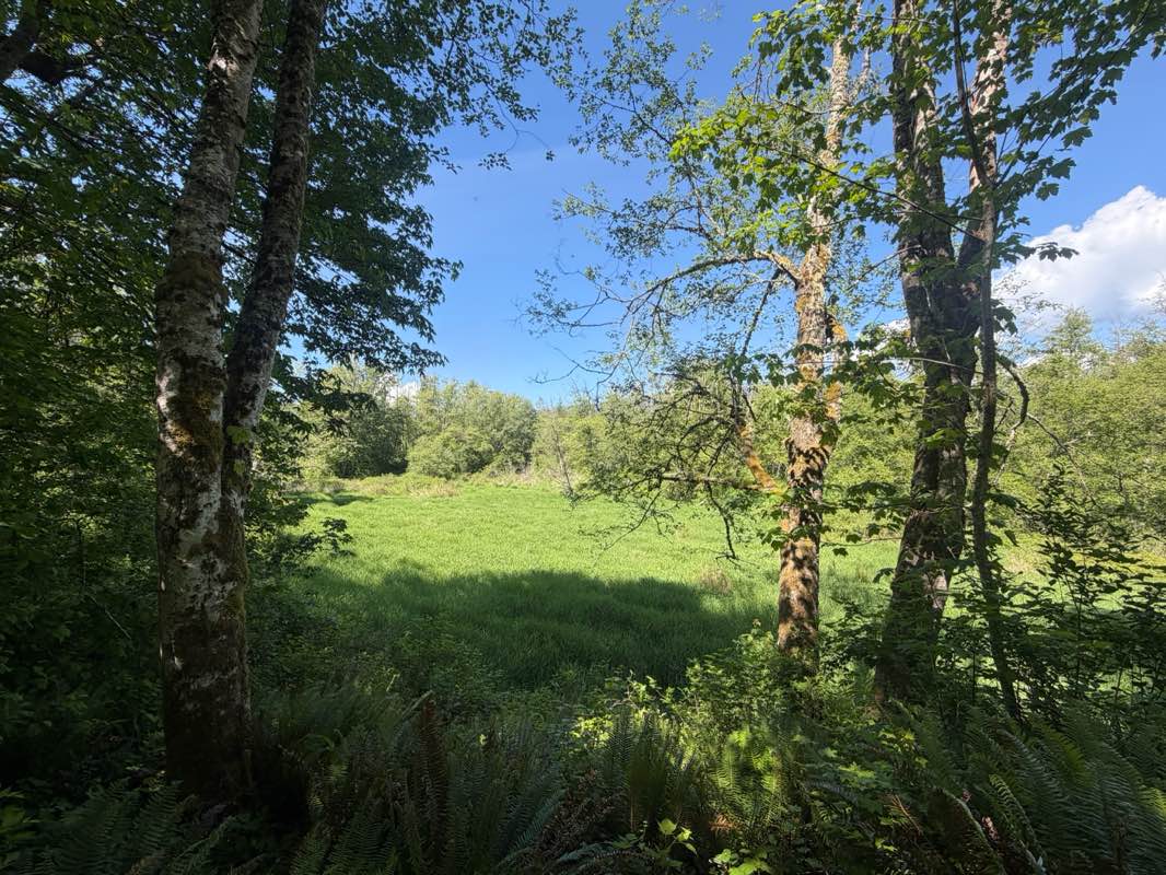 walking near me in Northern State Recreation Area in summer