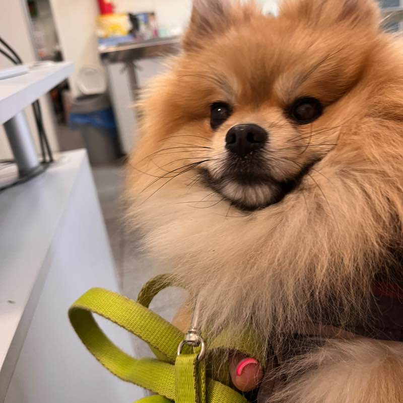 Ruch 2026 Wiktoria post image