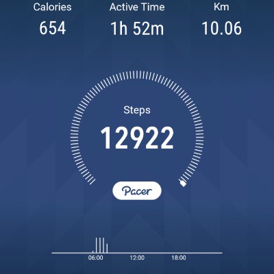 SKFLI Power Stride Handoko Kusumo post image