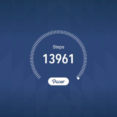 SKFLI Power Stride Handoko Kusumo post image