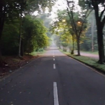 SKFLI Power Stride Handoko Kusumo post image