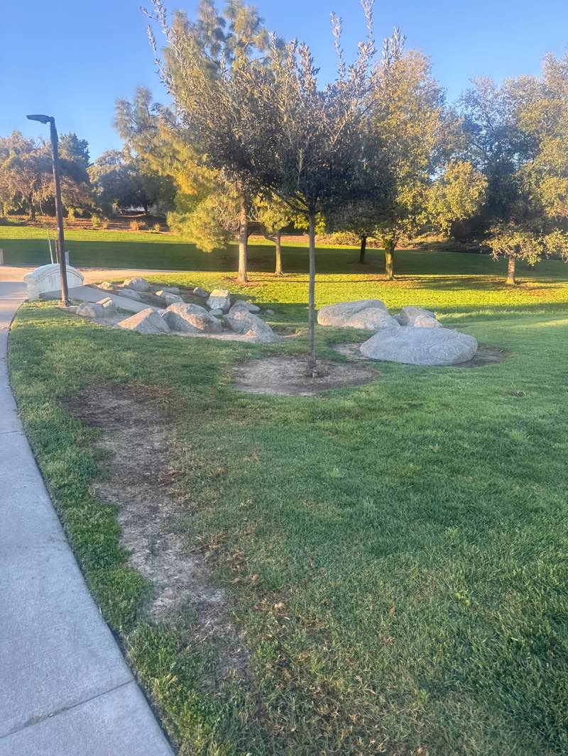 walking near me in Vail Ranch Park in spring