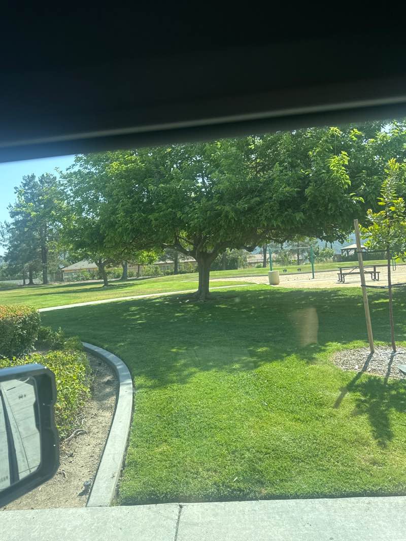 walking near me in Paseo Gallante Park in spring