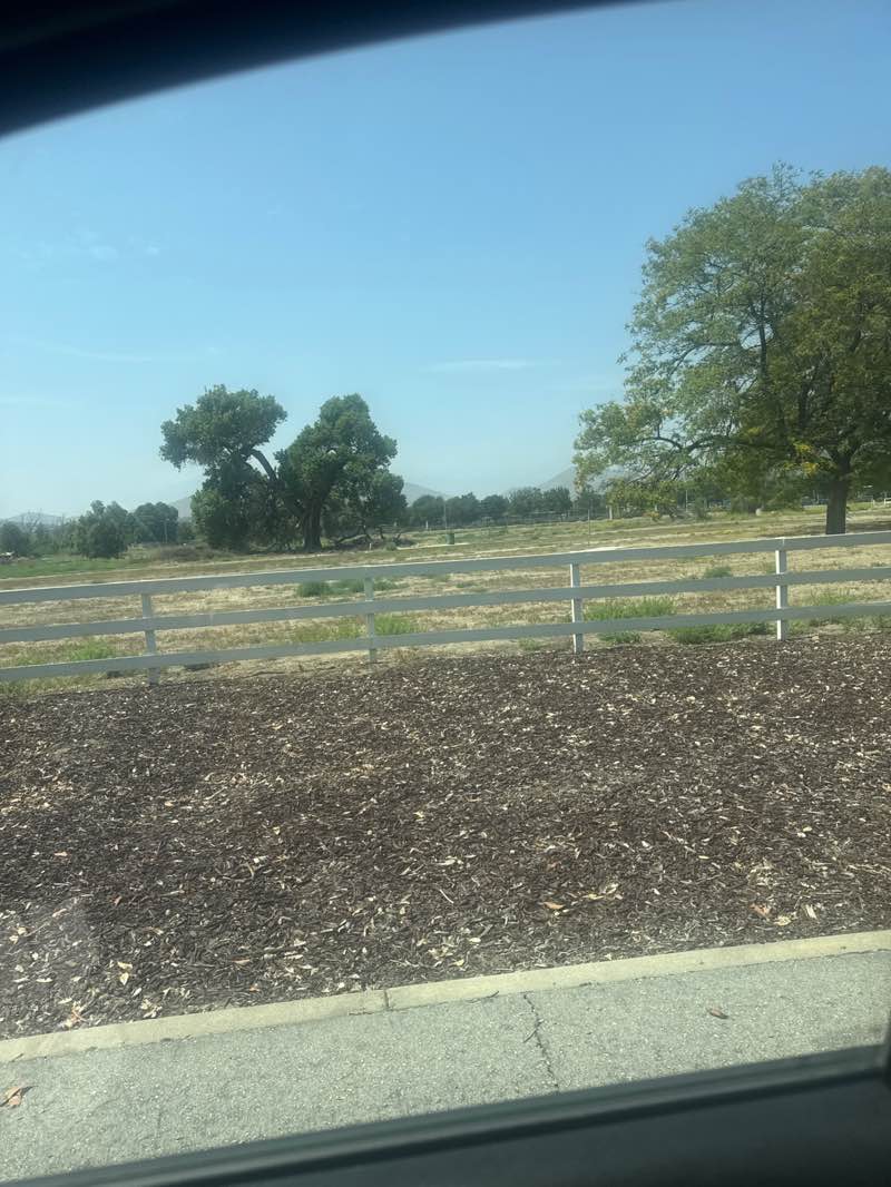 walking near me in Rancho Jurupa Park in summer