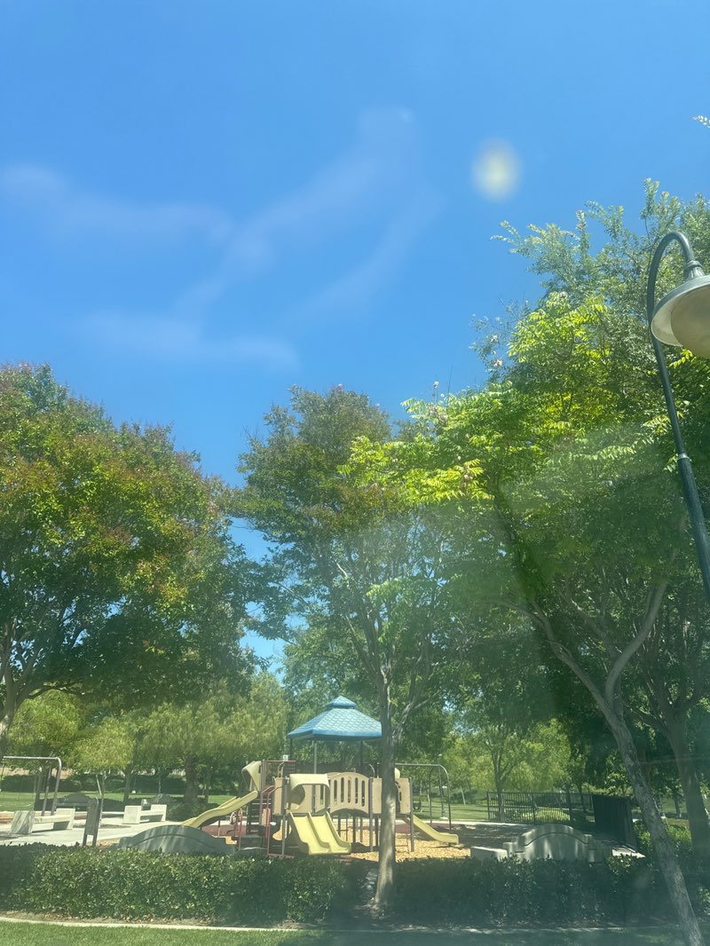 walking near me in Meadows Park in spring