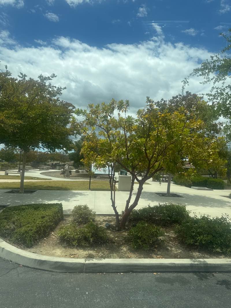 walking near me in Skyview Park in summer