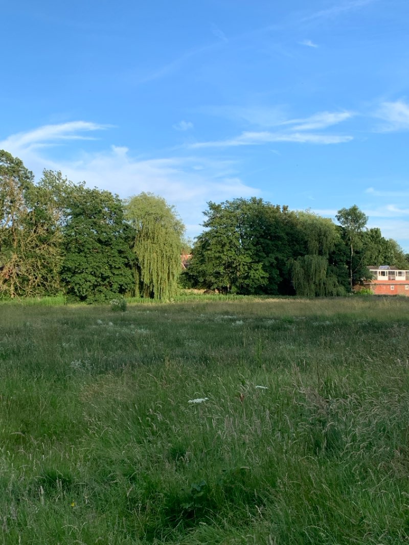 walking near me in Hulton Abbey Park in summer