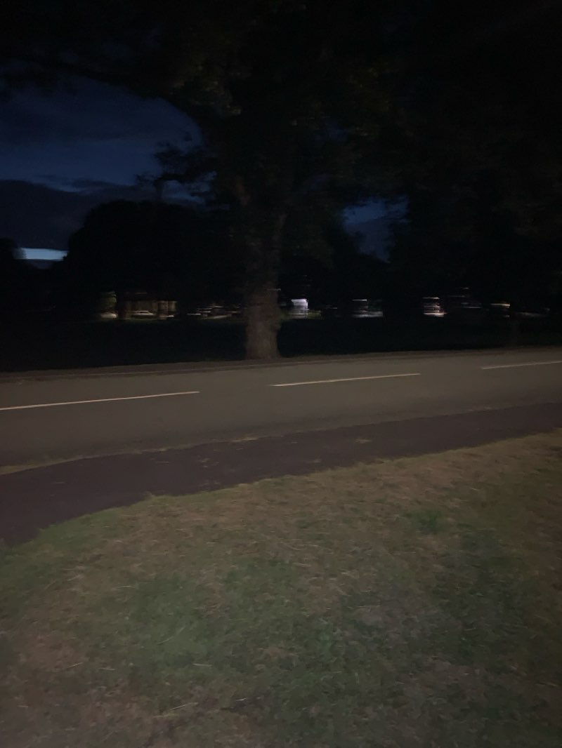 walking near me in Wolstanton Marsh in summer
