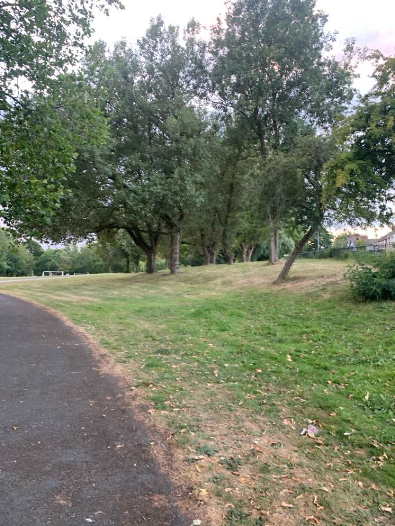 walking near me in Hanley Park in summer