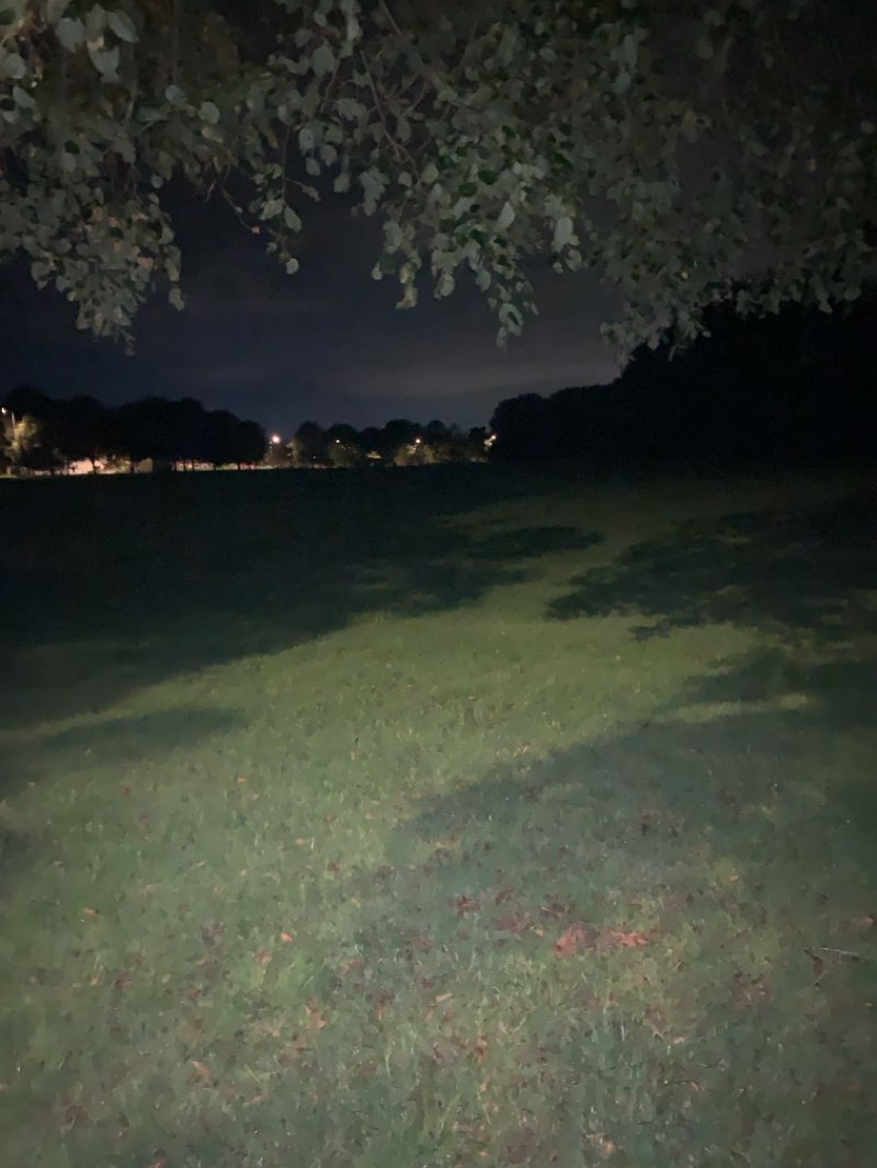 walking near me in Bradwell Lodge Park in autumn