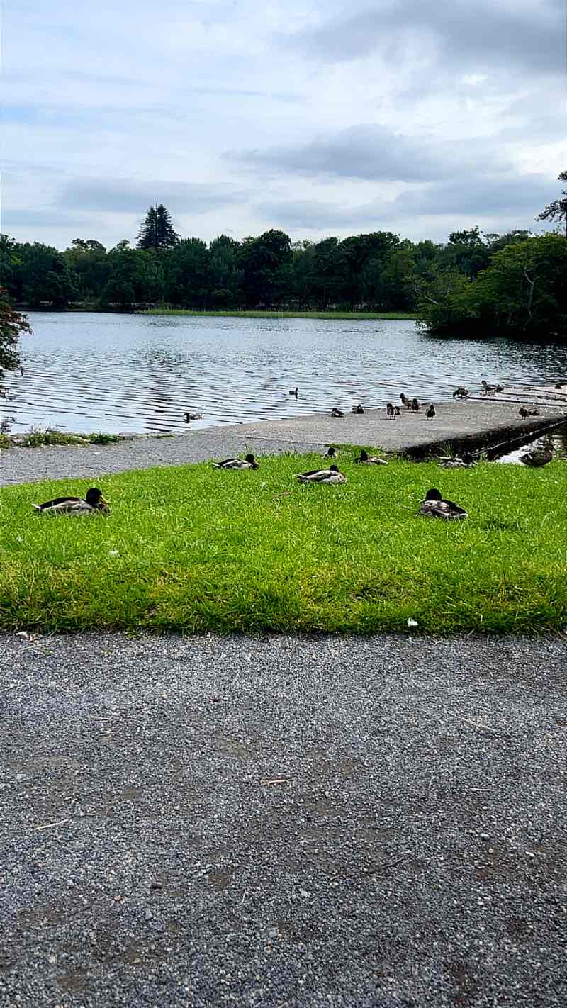 walking near me in Doorly Park in summer