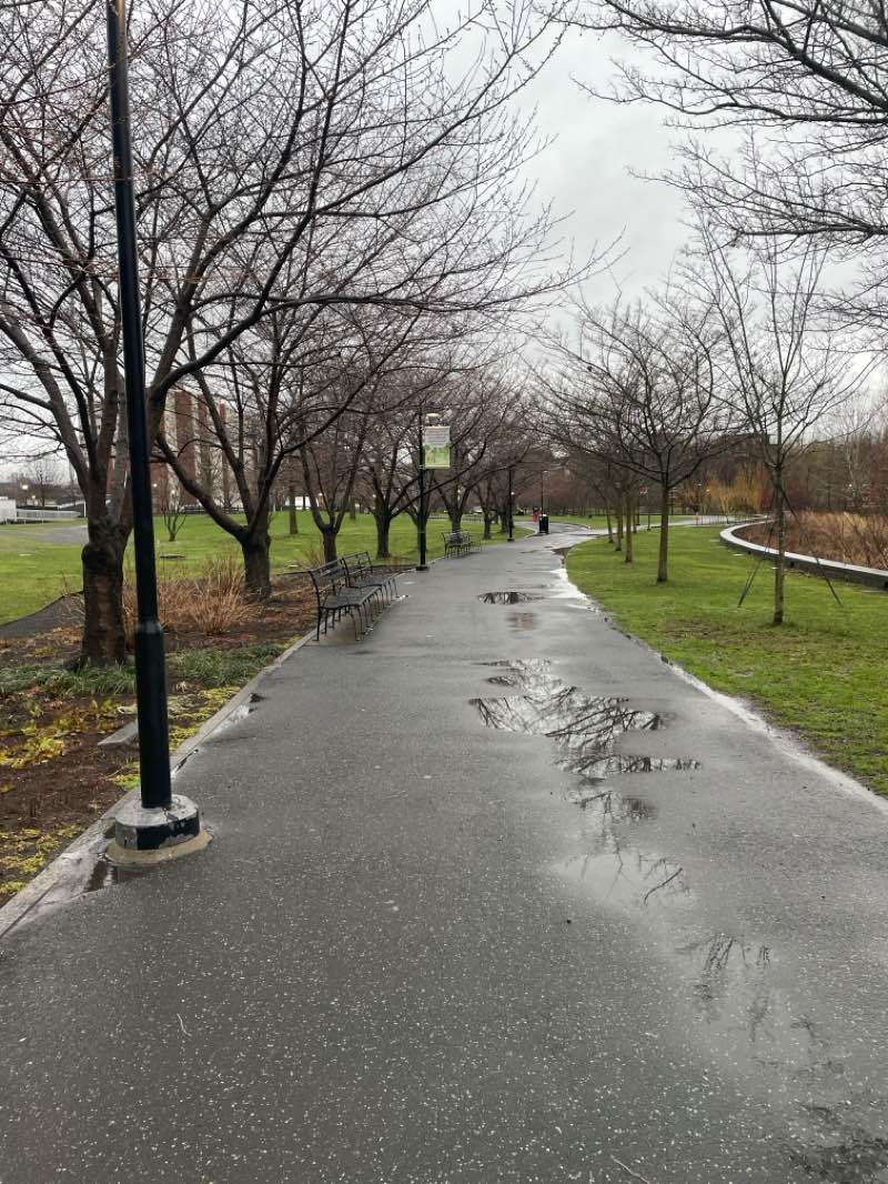walking near me in Mill River Park in spring