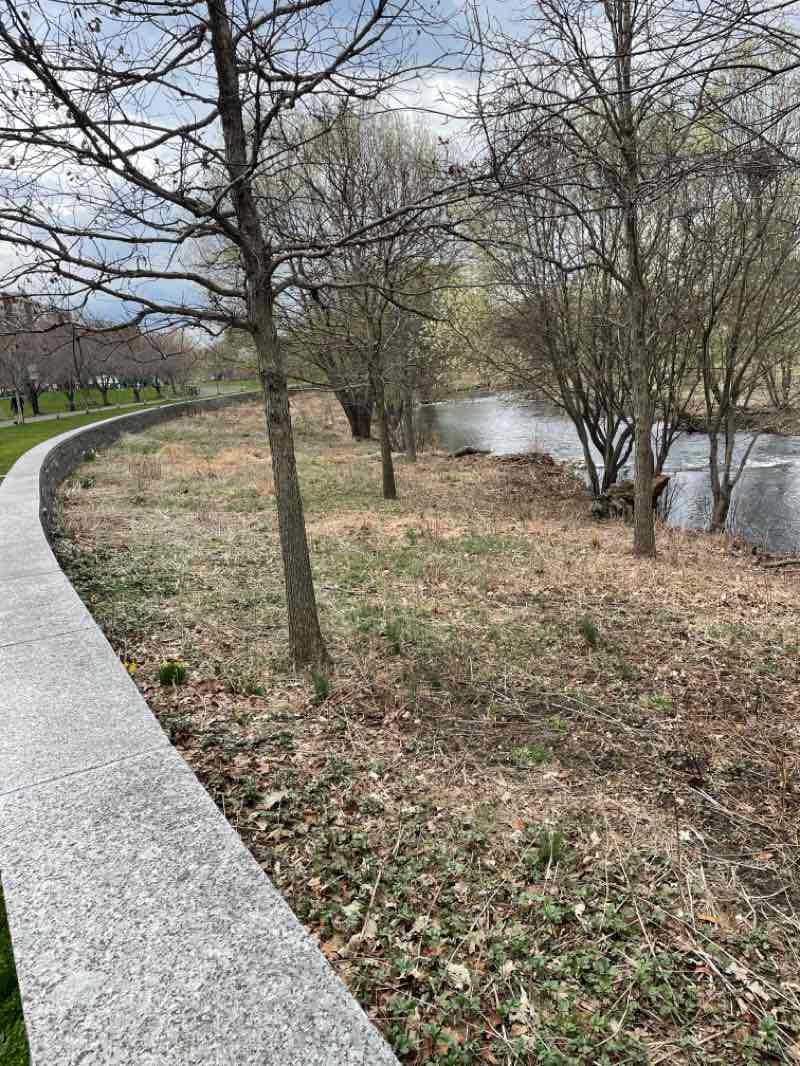 walking near me in Washington Boulevard Park - Gateway Park in spring
