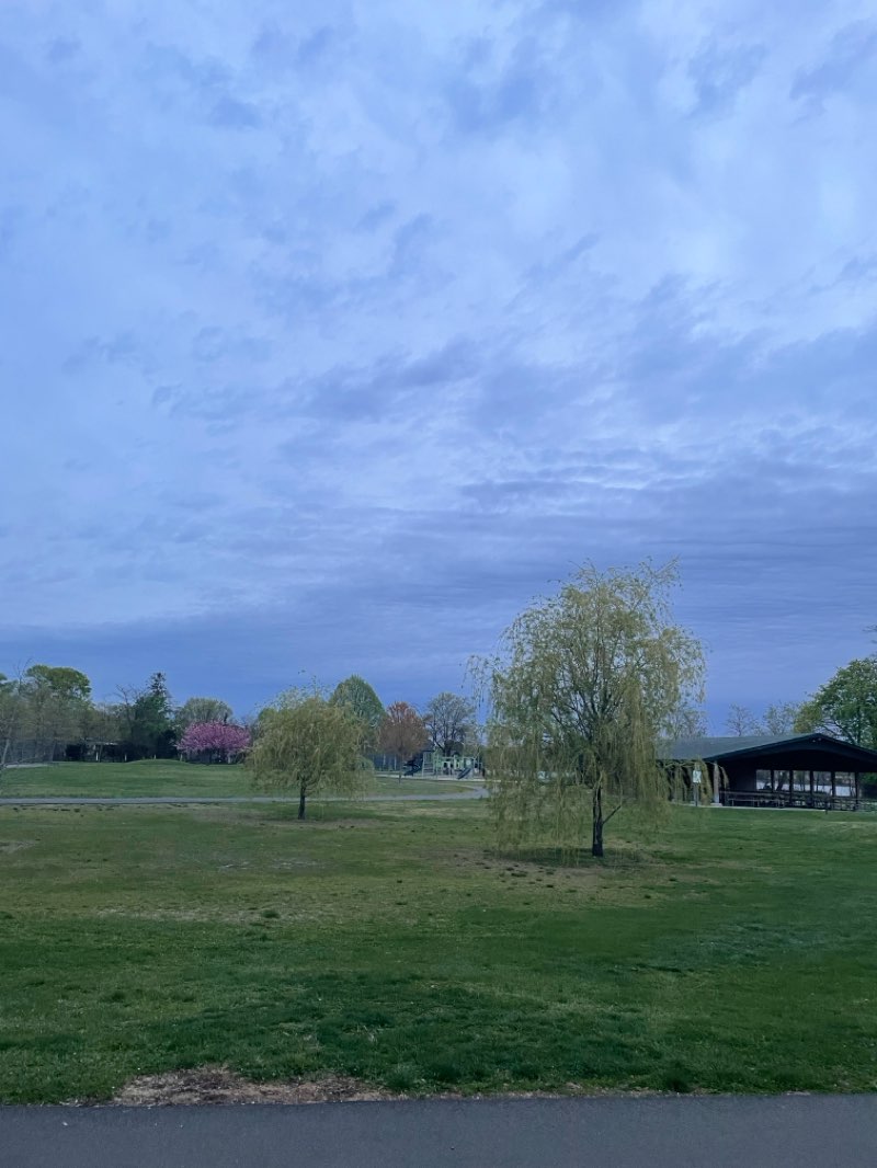 walking near me in Czescik Park in spring