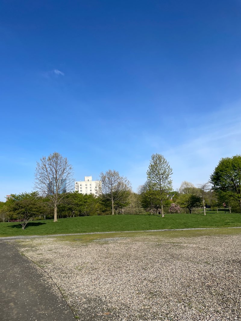 walking near me in Mill River Park in spring