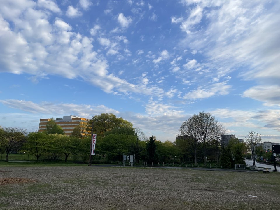 walking near me in Mill River Park in spring