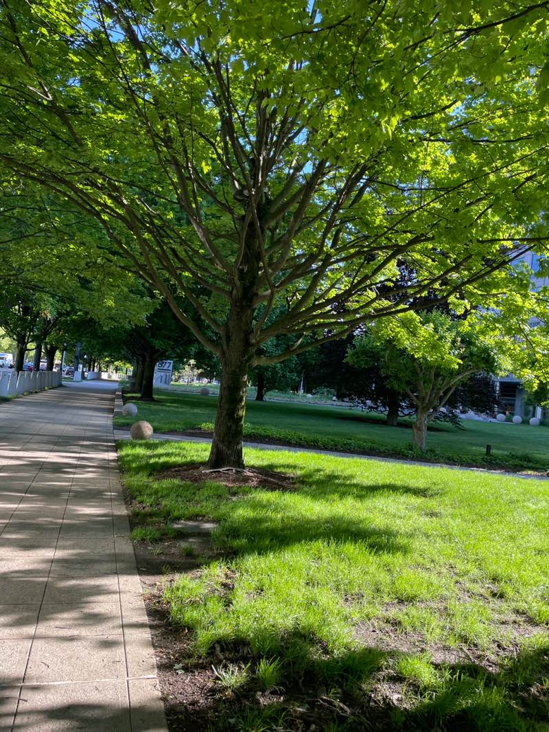 walking near me in Washington Boulevard Park - Gateway Park in summer